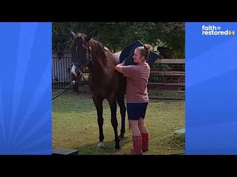 Horse Saves His Mom's Life By Running To Get Dad #Video