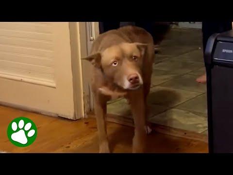 Her eyes when she realizes she's home #Video