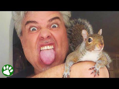 Eccentric man rescues baby squirrel and gets friend for life #video
