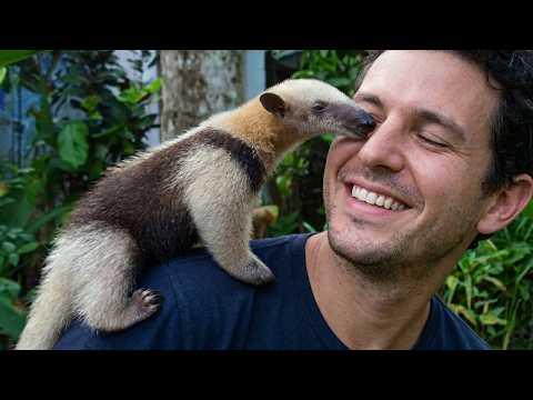 When Baby Animal Distribution System Officially Chooses You #Video