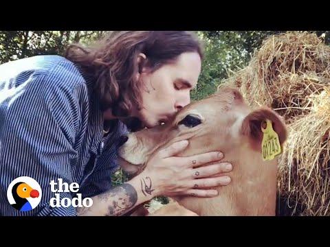 Guy Gives Up Everything To Save Animals #Video