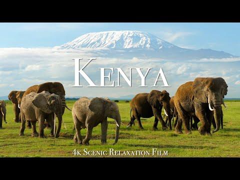Kenya & Masai Mara 4K - Scenic Wildlife Film With African Music #Video