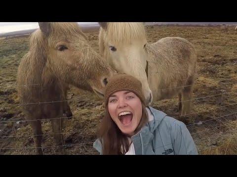 Funny Horse fails -  Cowboy and Cowgirls compilation