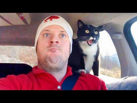 When you live with the MOST OVERPROTECTIVE Cat on Earth #Video