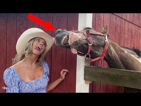 Horses Are Being Hilarious With Their Humans #Video
