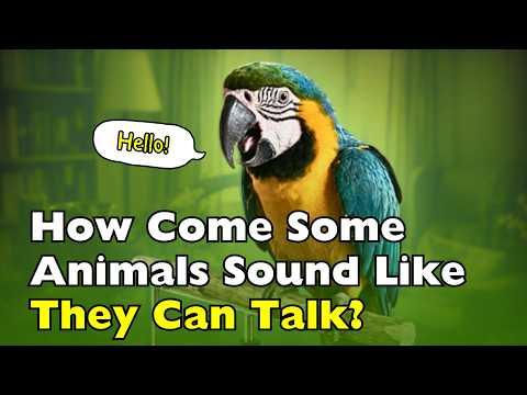 The Little-Known Reason Animals Can Copy Human Sounds #Video