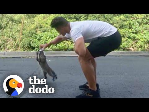 Guy Rescues Tiny Raccoon Who Got His Head Stuck In A Can #Video