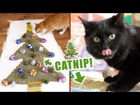 4 Cats, 2 Kittens, 1 Crazy Kitty Christmas! #Video