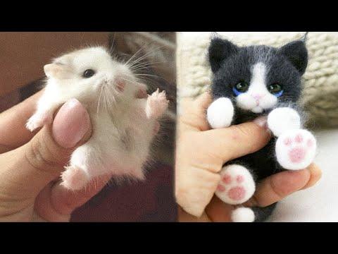Cute baby animals Videos Compilation cute moment of the animals - Cutest Animals #27