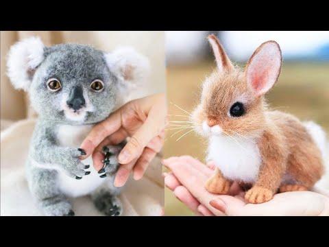 Animals SOO Cute! Cute baby animals Videos Compilation cutest moment of the animals #1
