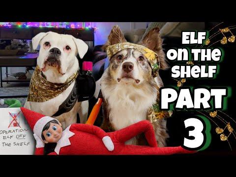 Elf On The Shelf 2025 Series