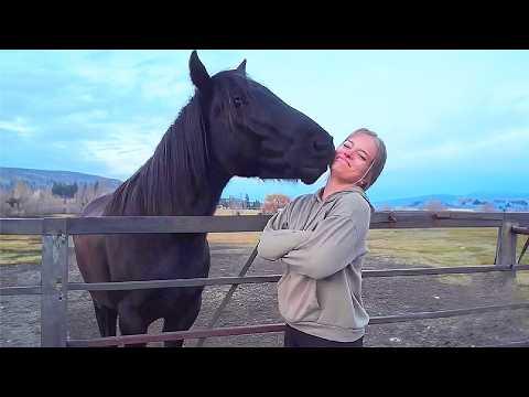 This Scared Horse Was Afraid of Everyone Until He Met Her #Video
