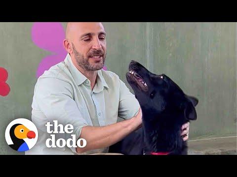 Photographer Dedicates His Life To Help Dogs Get Adopted #Video