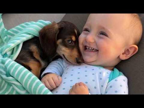 When Your Dog Becomes the Loyal Babysitter #Video