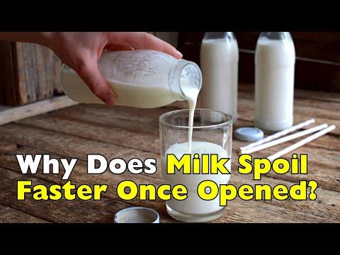 Why Milk Spoils So Fast After You Open It #Video