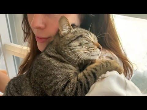 You Won't Believe How Sweet CATS Can Be #Video