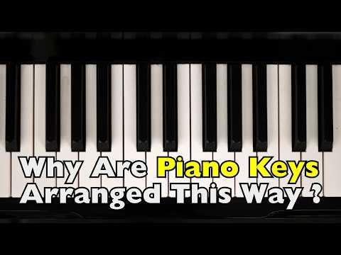 Why Do Pianos Have Black and White Keys #Video