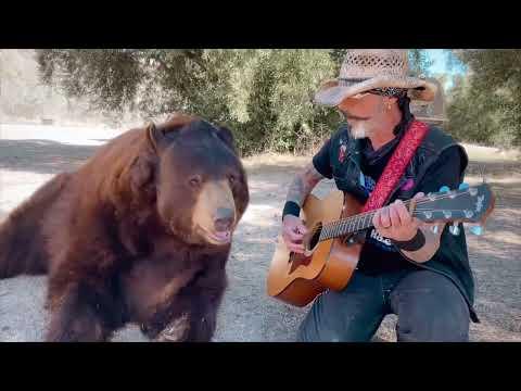 Wow this is insane #Video