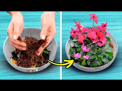 Blossom with These Smart Gardening Hacks #Video