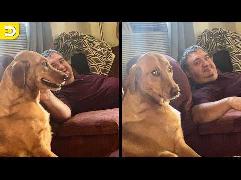 She Got Caught Being Needy | YOUR Daily Dose of Pets #Video