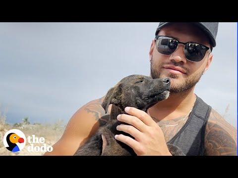 Couple Saves This Puppy From A Garbage Bag #Video