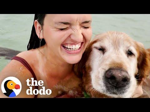 Woman's Had Her Soul Dog Since She Was 15 #Video