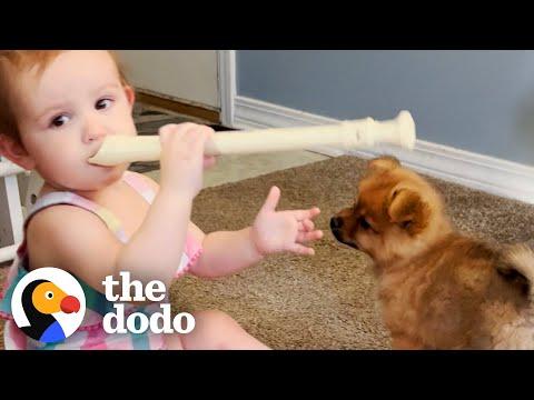 Baby Girl and Puppy Have Jam Sessions #Video