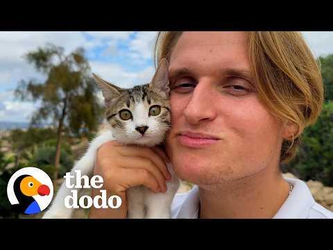 Guy Rescues Random Kitten And Turns Into Ultimate Cat Dad #Video