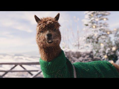 TK Maxx - Festive Farm | Christmas 2024 #Video