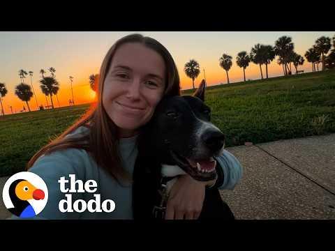 Dog Goes Wild When It's Time For Run Club