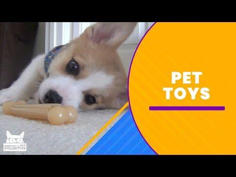 Pet Toys