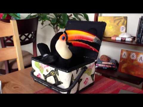 Toucan In A Sewing Box
