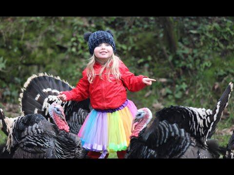 Watch How This Little Girl Celebrates A Country Christmas. Lexi Massingale
