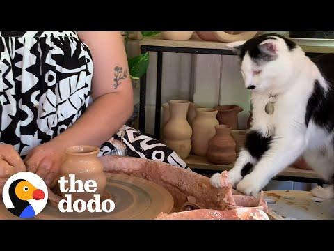 This Cat Won’t Let Her Mom Do Pottery Alone #Video