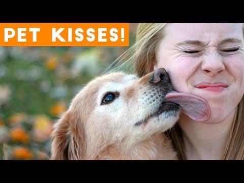 Cutest Pet Kisses and Licking Ever | Funny Pet Videos