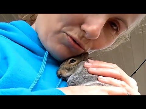 Woman does the sweetest thing for orphaned squirrel #Video