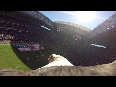 Bald Eagle Soars With Action Camera During National Anthem!