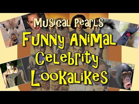 Funny Animal And Celebrity Lookalikes #Video