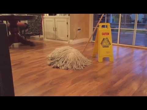 Mop Dog