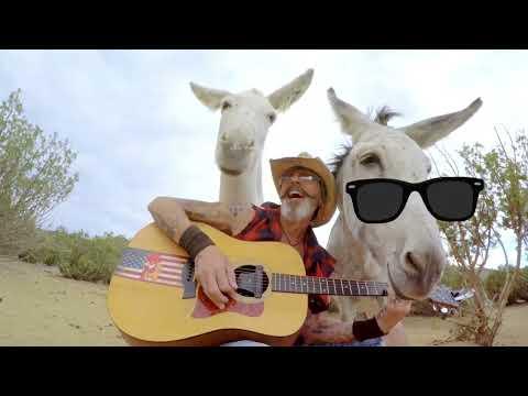 Fun with Hazel & Heaven the Donkeys #Video