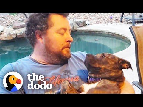 Woman Brings Home A Stray Dog Who Stole Her Food #Video