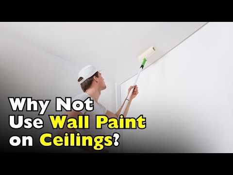 Why Is Ceiling Paint Different From Wall Paint? #Video