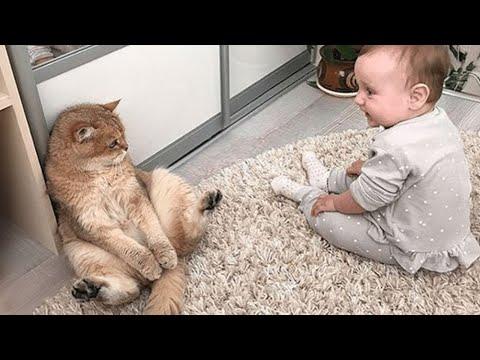 When Your Children Raised By Cat #Video