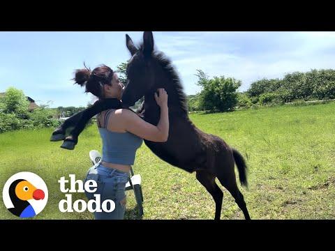 Foal Who Wasn't Supposed To Exist Wants To Hug Everyone