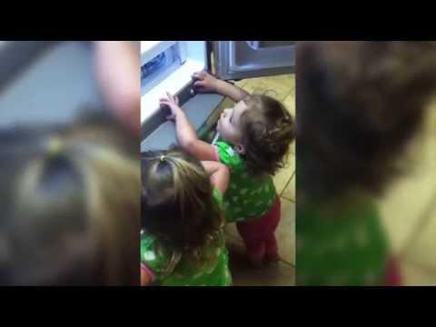 Babies Toddlers Fascinated By Fridges
