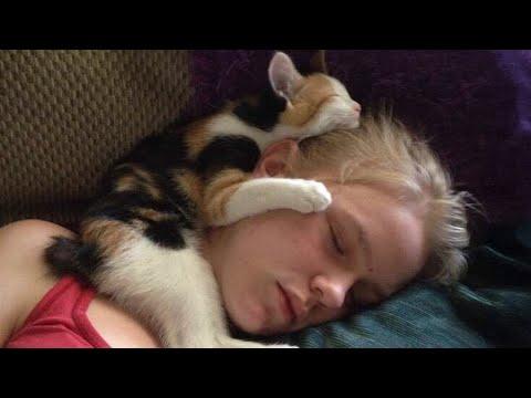 When Your Cat Steals Your Bed but Wins Your Heart! #Video