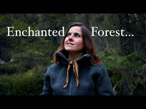 This Forest Is Hiding Something… #Video