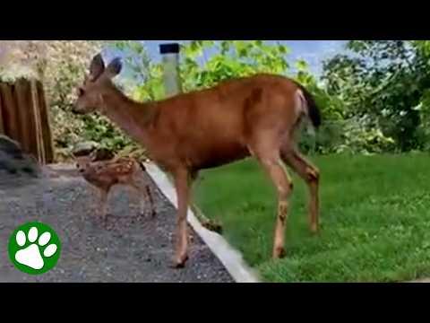 Momma turned to say thank you #Video