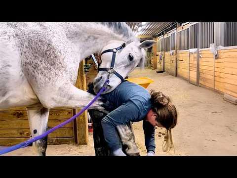 Animals Teach Us Love is What Makes Life Complete #Video