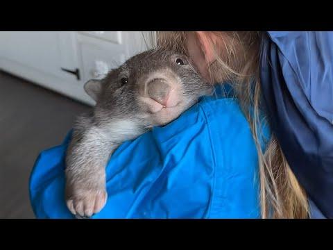 Animals Teach Us Love is What Makes Life Worth Living #Video